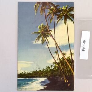 Vtg Black Sands Beach Puna Hawaii Postcard 1952 Palm Trees